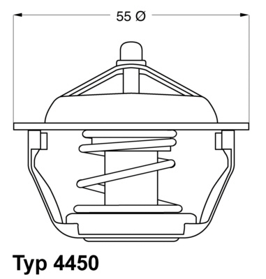 Termostat lichid racire