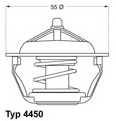 Termostat lichid racire