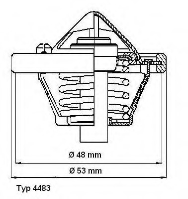 Termostat lichid racire