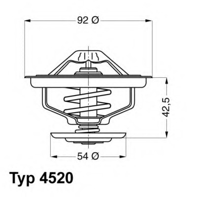 Termostat lichid racire