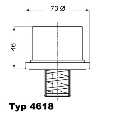 Termostat lichid racire