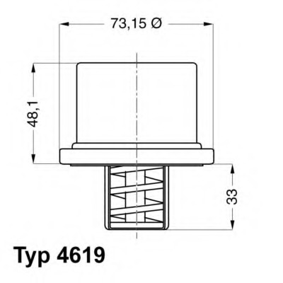 Termostat lichid racire