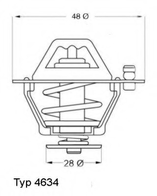 Termostat lichid racire