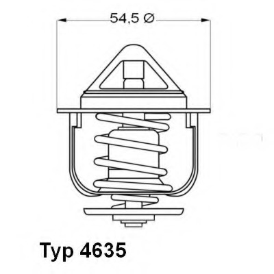 Termostat lichid racire