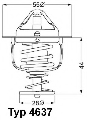 Termostat lichid racire