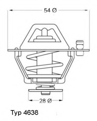 Termostat lichid racire