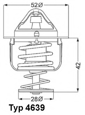 Termostat lichid racire