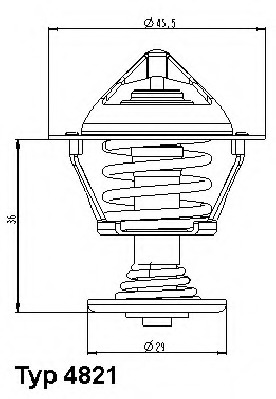 Termostat lichid racire