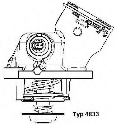 Termostat lichid racire